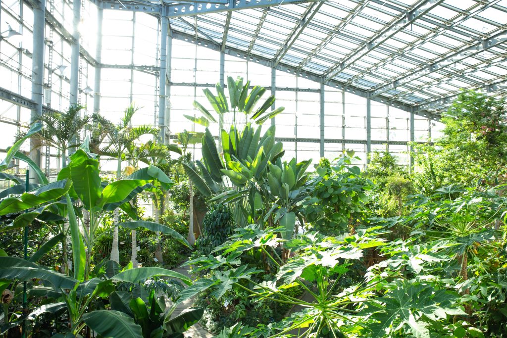 Do Greenhouses Work In Cold Climates? Here Are 10 Reasons Why