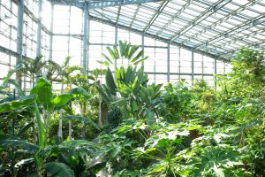 Do Greenhouses Work In Cold Climates