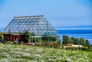 What Is A Gothic Arch Greenhouse Used For