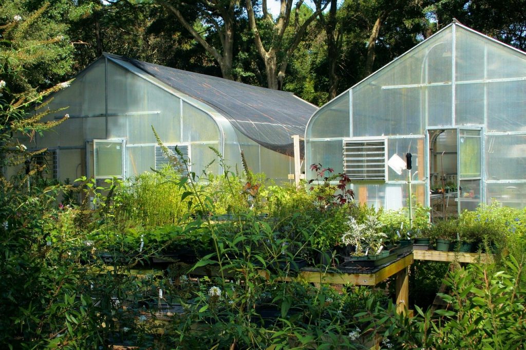 which-way-should-a-greenhouse-face-in-texas-simbagreenhouse