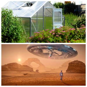 an Greenhouses Work On Mars