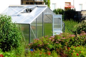 How Do I Keep My Greenhouse Plastic From Ripping