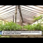 Volunteers Rebuild Greenhouses Damaged By Hurricane Harvey