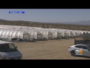 Congressman Say Illegal Antelope Valley Pot Grows Being Run By International Drug Cartels