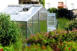 Greenhouse vs Solarium
