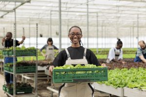 What Are The Challenges Of Greenhouse Farming In Kenya? 