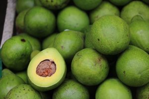 Is Tanzania Avocado Good