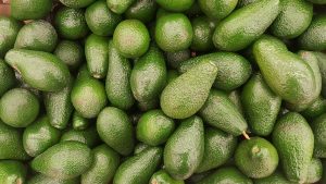 Where Does Kenya Export Avocados To