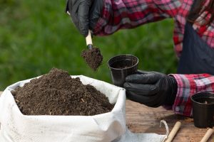 Best Grow Bags For Marijuana