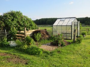 Do Greenhouses Need Cyber Liability Insurance?