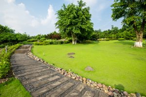 Best Fertilizer For Bermuda Lawn
